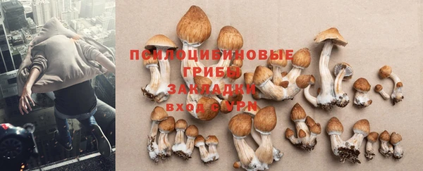наркотики Арсеньев
