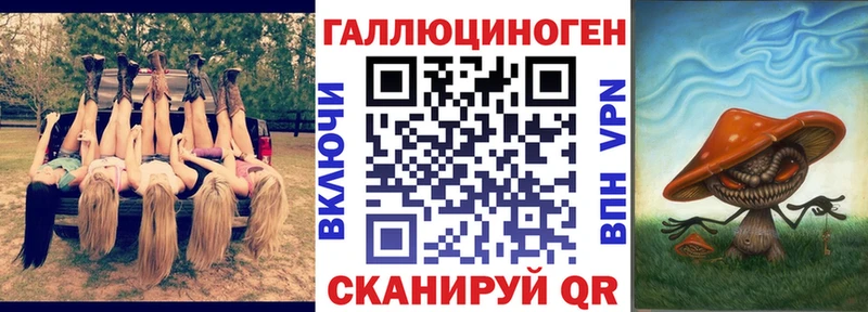 Купить где  Тихвин  Псилоцибиновые грибы мицелий 